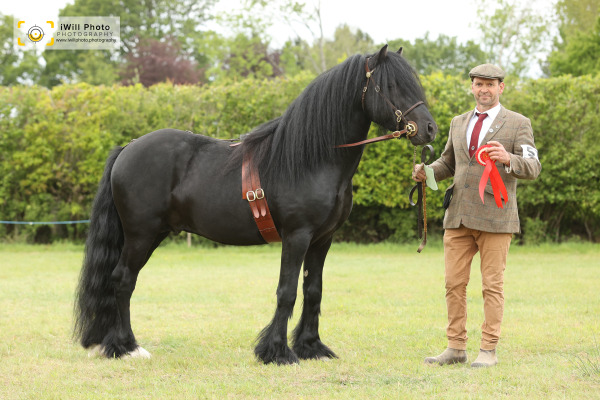 Ockley Barn Farm Showing Show, Sunday 10th May