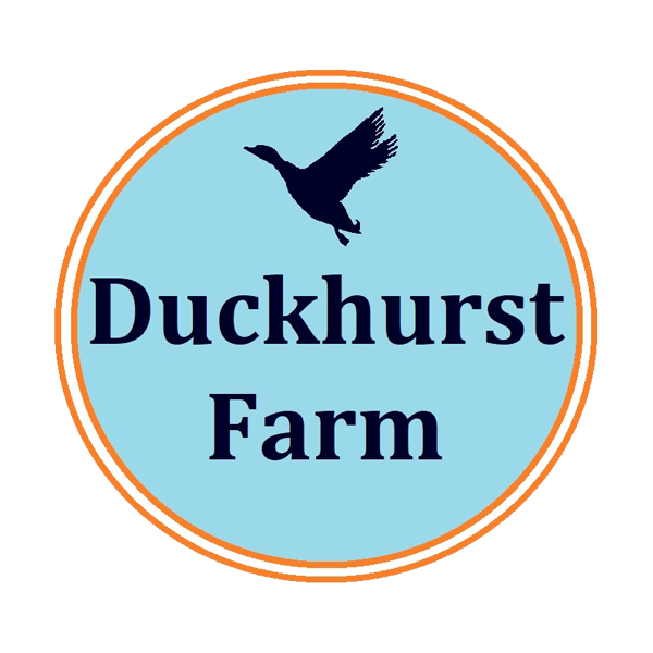 Duckhurst_Farm_Horses_Staplehurst.png